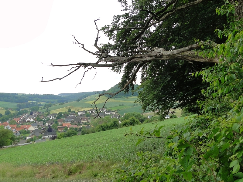 Wanderung zur 'Alten Eiche', Blick auf Ovenhausen